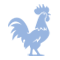 cockfight